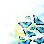 12-ФЦ-0016 голубые бабочки